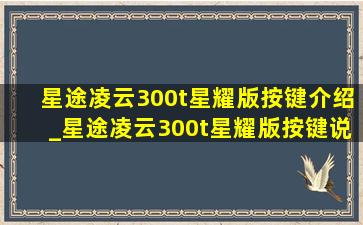 星途凌云300t星耀版按键介绍_星途凌云300t星耀版按键说明