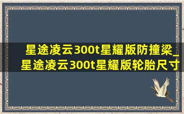 星途凌云300t星耀版防撞梁_星途凌云300t星耀版轮胎尺寸