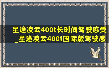 星途凌云400t长时间驾驶感受_星途凌云400t国际版驾驶感受