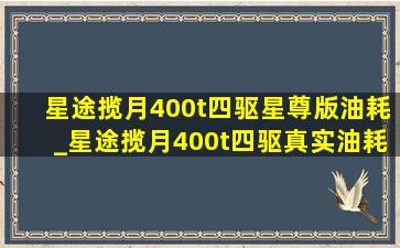 星途揽月400t四驱星尊版油耗_星途揽月400t四驱真实油耗