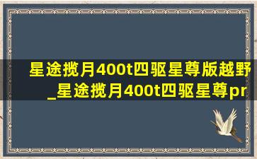 星途揽月400t四驱星尊版越野_星途揽月400t四驱星尊pro