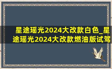 星途瑶光2024大改款白色_星途瑶光2024大改款燃油版试驾