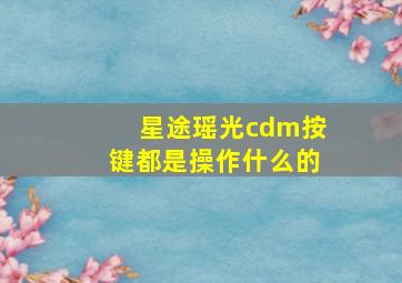 星途瑶光cdm按键都是操作什么的