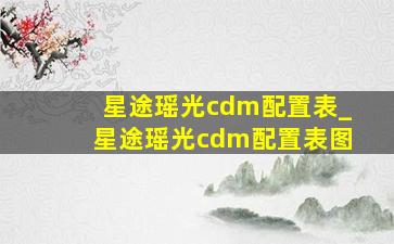 星途瑶光cdm配置表_星途瑶光cdm配置表图