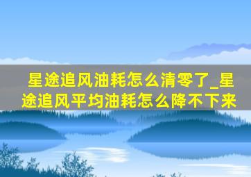 星途追风油耗怎么清零了_星途追风平均油耗怎么降不下来