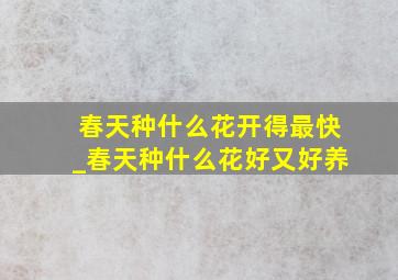 春天种什么花开得最快_春天种什么花好又好养