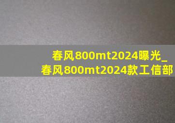 春风800mt2024曝光_春风800mt2024款工信部