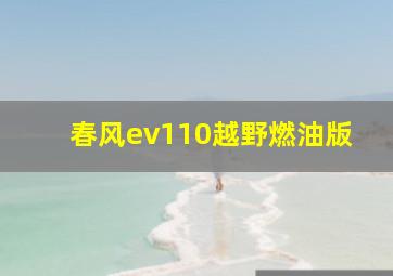 春风ev110越野燃油版