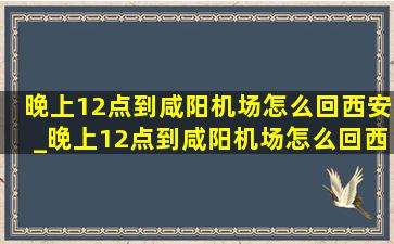 晚上12点到咸阳机场怎么回西安_晚上12点到咸阳机场怎么回西安站