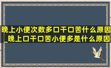 晚上小便次数多口干口苦什么原因_晚上口干口苦小便多是什么原因