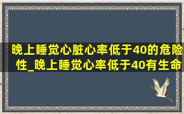 晚上睡觉心脏心率低于40的危险性_晚上睡觉心率低于40有生命危险吗