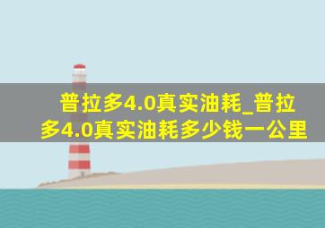 普拉多4.0真实油耗_普拉多4.0真实油耗多少钱一公里