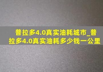 普拉多4.0真实油耗城市_普拉多4.0真实油耗多少钱一公里