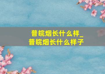 普皖烟长什么样_普皖烟长什么样子