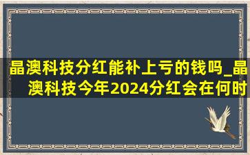 晶澳科技分红能补上亏的钱吗_晶澳科技今年2024分红会在何时