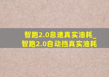 智跑2.0怠速真实油耗_智跑2.0自动挡真实油耗