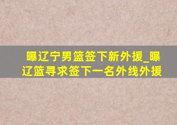 曝辽宁男篮签下新外援_曝辽篮寻求签下一名外线外援