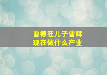 曹德旺儿子曹晖现在做什么产业