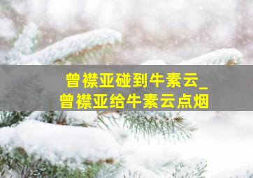 曾襟亚碰到牛素云_曾襟亚给牛素云点烟