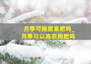 月季可施尿素肥吗_月季可以施农用肥吗