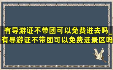 有导游证不带团可以免费进去吗_有导游证不带团可以免费进景区吗