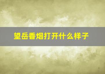 望岳香烟打开什么样子