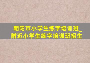 朝阳市小学生练字培训班_附近小学生练字培训班招生