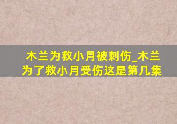 木兰为救小月被刺伤_木兰为了救小月受伤这是第几集