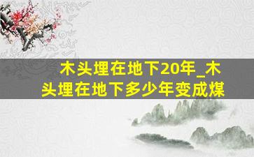 木头埋在地下20年_木头埋在地下多少年变成煤