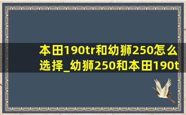 本田190tr和幼狮250怎么选择_幼狮250和本田190tr怎么选