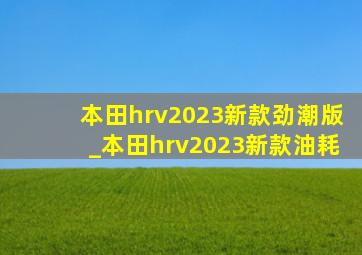 本田hrv2023新款劲潮版_本田hrv2023新款油耗