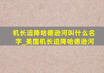 机长迫降哈德逊河叫什么名字_美国机长迫降哈德逊河