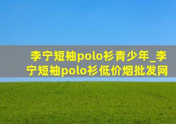 李宁短袖polo衫青少年_李宁短袖polo衫(低价烟批发网)