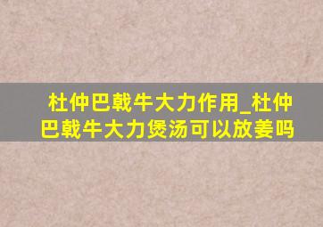 杜仲巴戟牛大力作用_杜仲巴戟牛大力煲汤可以放姜吗