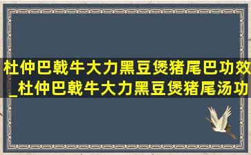 杜仲巴戟牛大力黑豆煲猪尾巴功效_杜仲巴戟牛大力黑豆煲猪尾汤功效