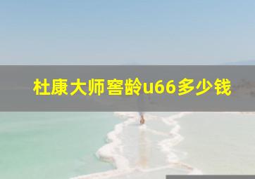 杜康大师窖龄u66多少钱