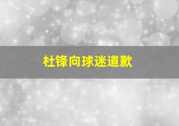 杜锋向球迷道歉