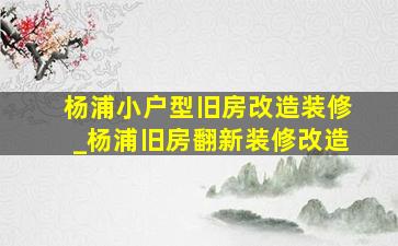 杨浦小户型旧房改造装修_杨浦旧房翻新装修改造