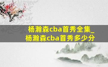 杨瀚森cba首秀全集_杨瀚森cba首秀多少分