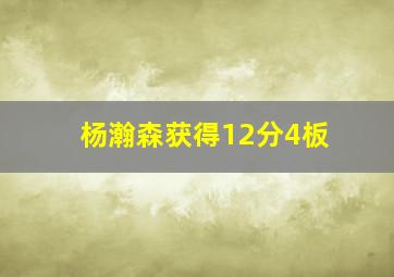 杨瀚森获得12分4板