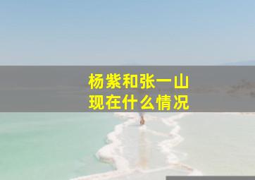 杨紫和张一山现在什么情况