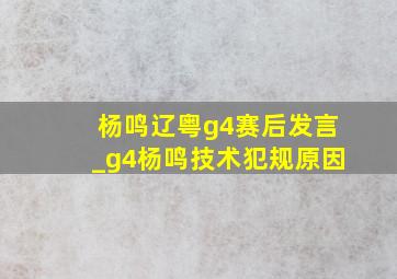 杨鸣辽粤g4赛后发言_g4杨鸣技术犯规原因