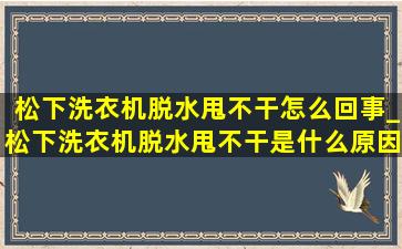 松下洗衣机脱水甩不干怎么回事_松下洗衣机脱水甩不干是什么原因