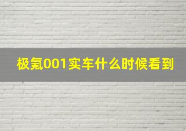 极氪001实车什么时候看到