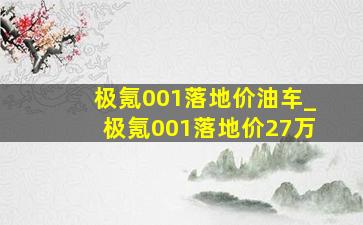 极氪001落地价油车_极氪001落地价27万