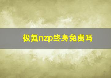 极氪nzp终身免费吗