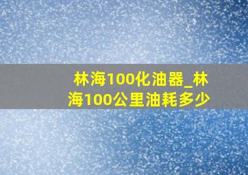 林海100化油器_林海100公里油耗多少