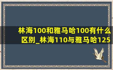 林海100和雅马哈100有什么区别_林海110与雅马哈125的区别