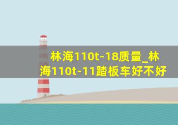 林海110t-18质量_林海110t-11踏板车好不好