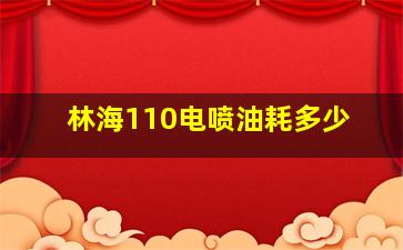 林海110电喷油耗多少